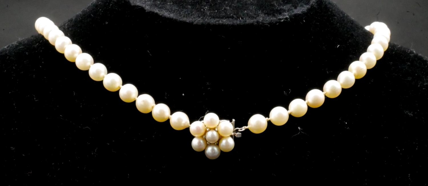 A 14 carat white gold knotted cultured pearl necklace. The necklace has forty nine round pearls with - Image 3 of 4