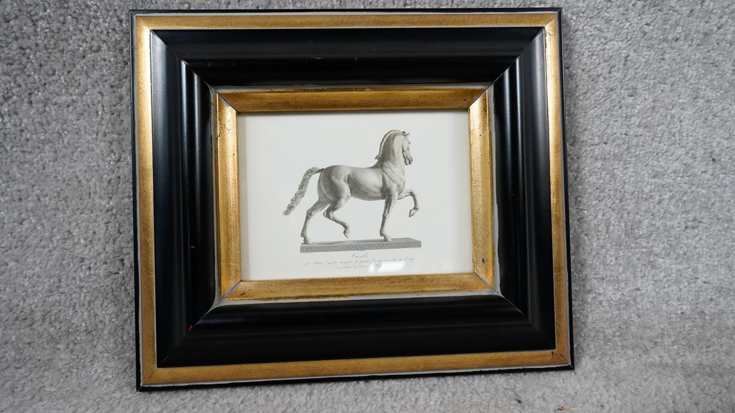 Two framed and glazed prints of Canova Cavallo. Depiction of Napoleon's horse modelled by Canova - Image 2 of 10