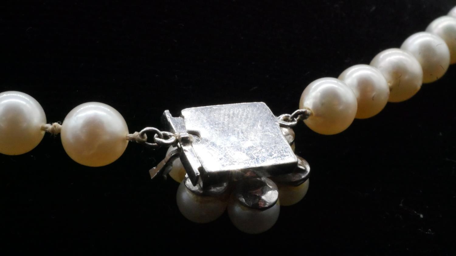 A 14 carat white gold knotted cultured pearl necklace. The necklace has forty nine round pearls with - Image 4 of 4