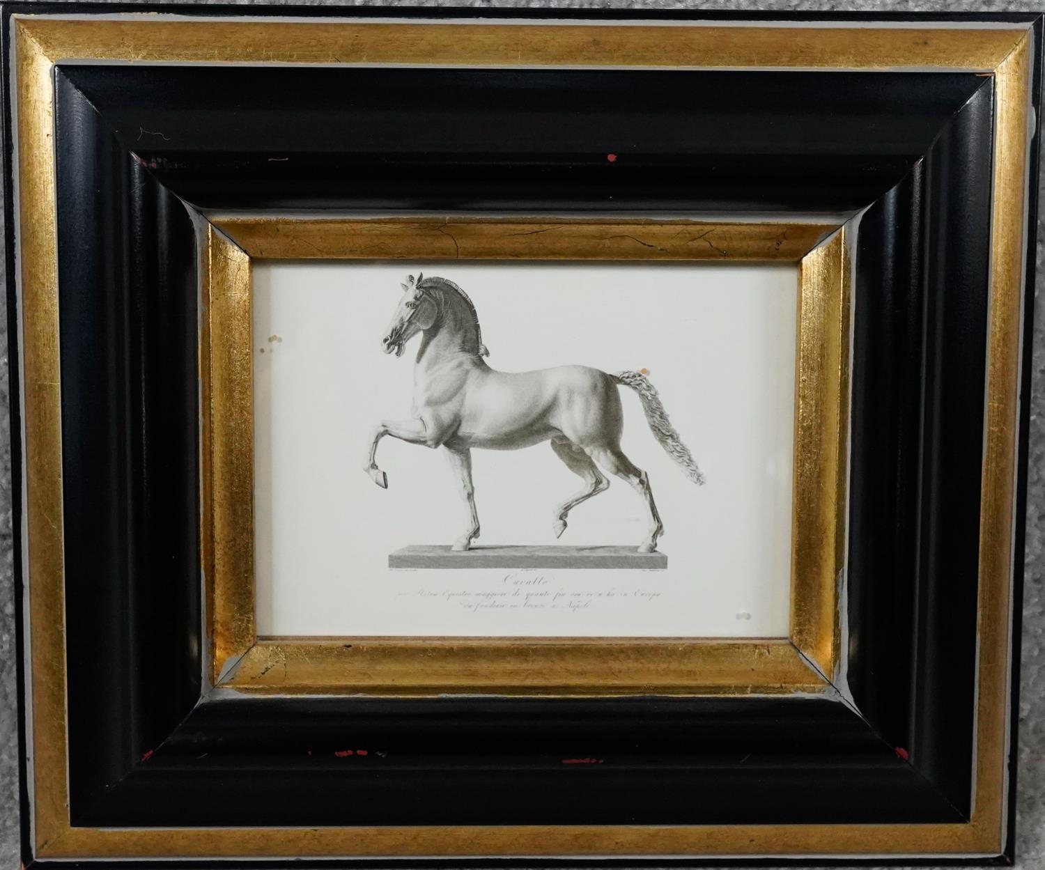 Two framed and glazed prints of Canova Cavallo. Depiction of Napoleon's horse modelled by Canova - Image 6 of 10