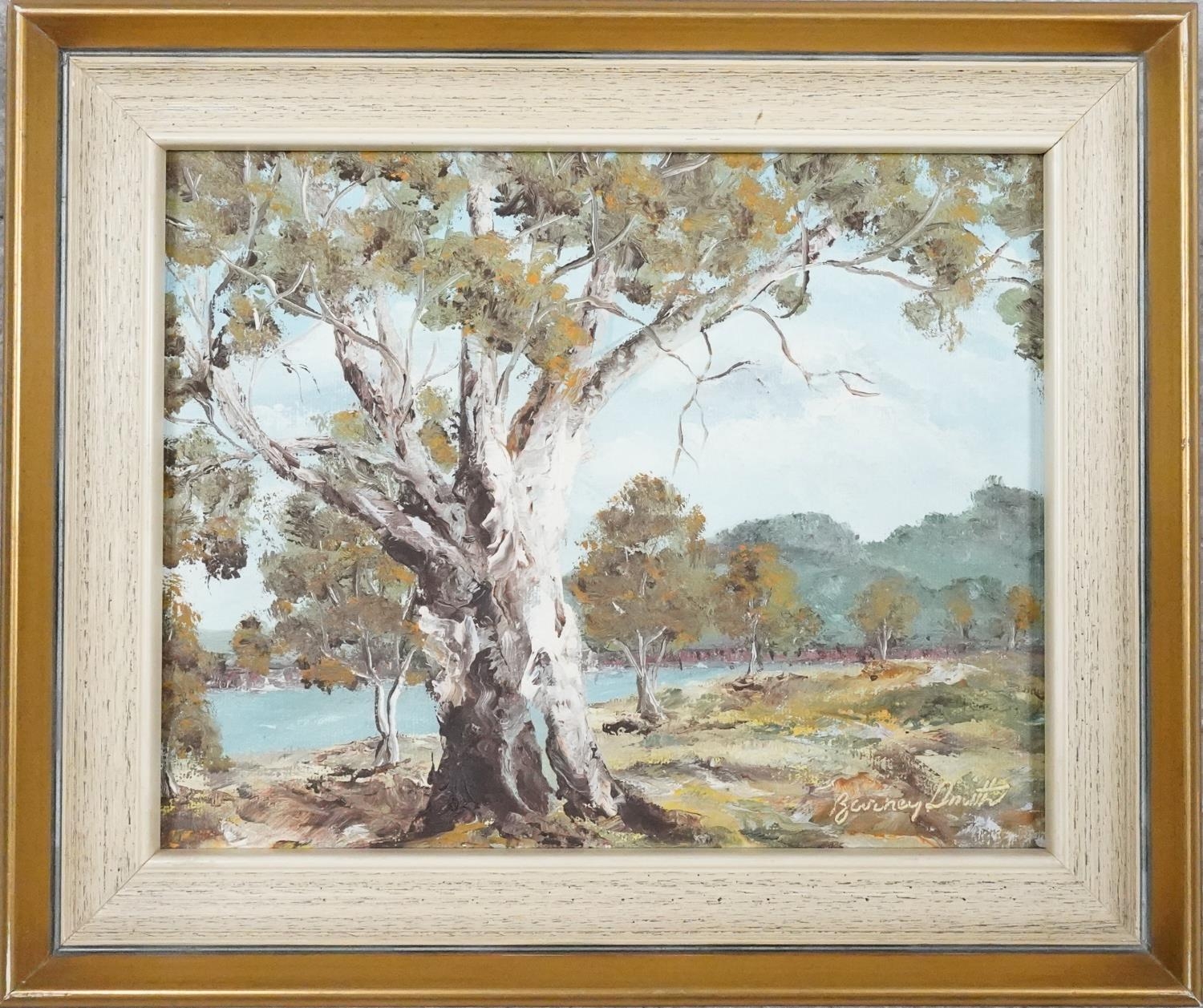 Four oils on canvas, tree studies in Australian landscapes, signed Barney Smith. H.26 W.32 - Image 11 of 15