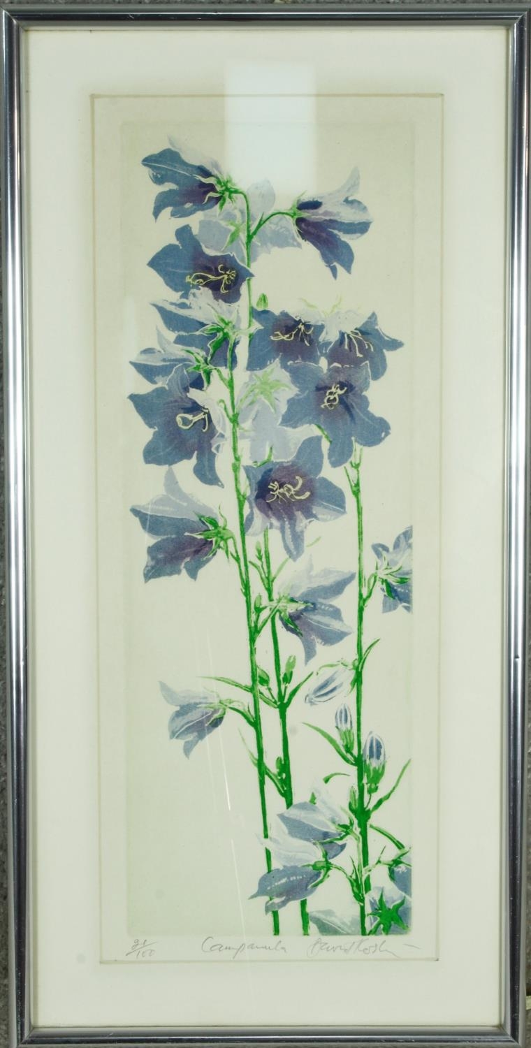 A framed and glazed signed limited edition print, titled 'Campanula', edition 21/100. Indistinctly - Image 2 of 5