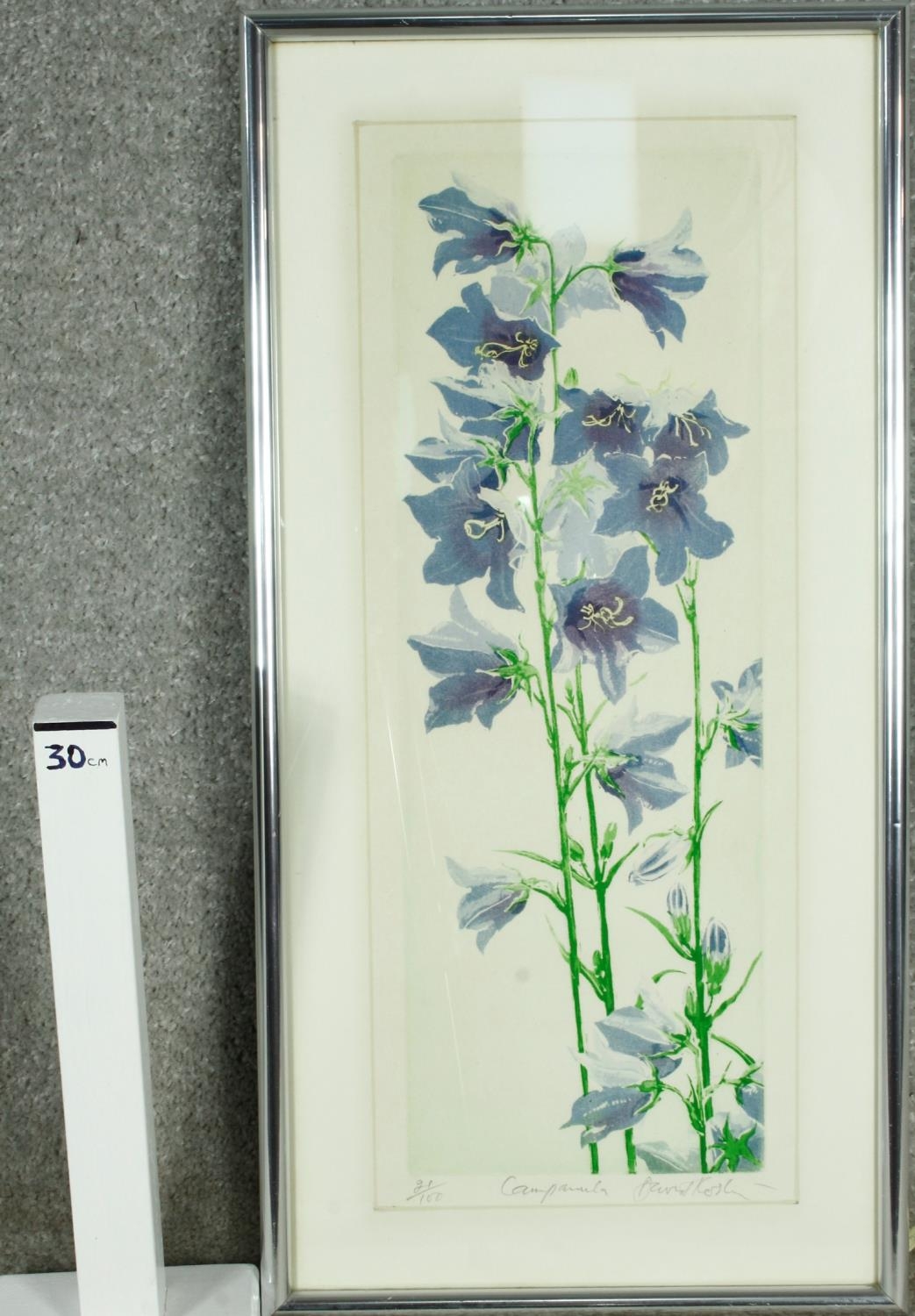 A framed and glazed signed limited edition print, titled 'Campanula', edition 21/100. Indistinctly - Image 5 of 5