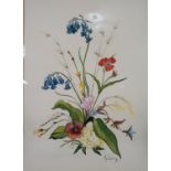 A framed and glazed watercolour of wild flowers, signed and dated Begun, H.64 W.50