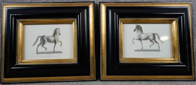 Two framed and glazed prints of Canova Cavallo. Depiction of Napoleon's horse modelled by Canova