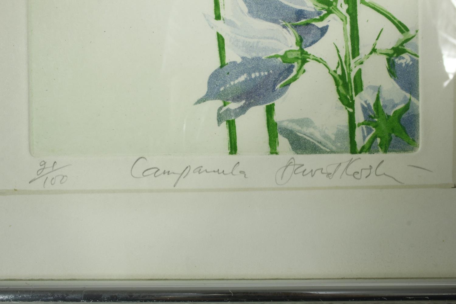 A framed and glazed signed limited edition print, titled 'Campanula', edition 21/100. Indistinctly - Image 3 of 5