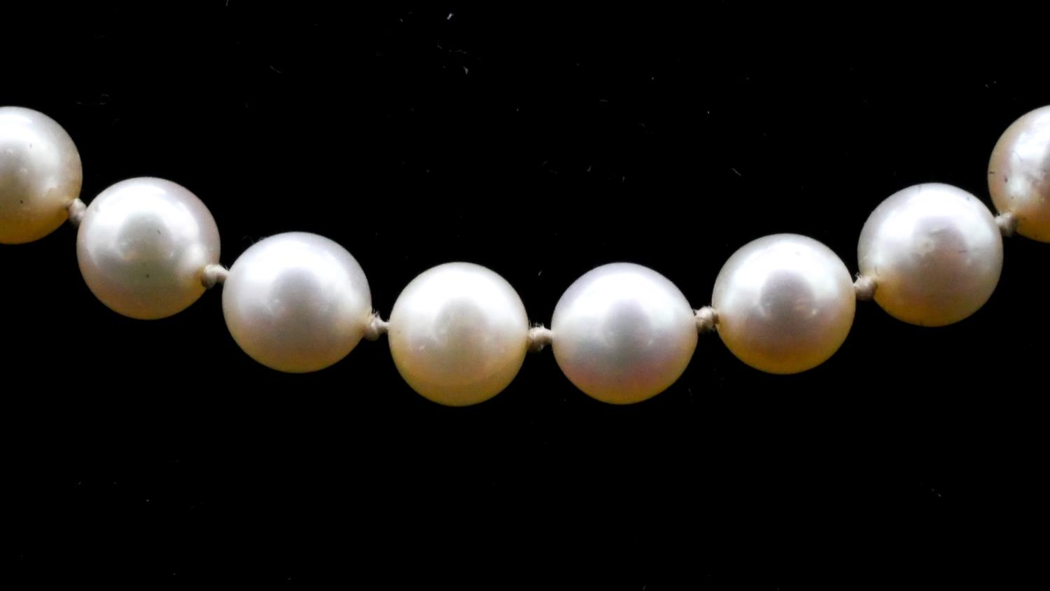 A 14 carat white gold knotted cultured pearl necklace. The necklace has forty nine round pearls with - Image 2 of 4