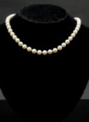 A 14 carat white gold knotted cultured pearl necklace. The necklace has forty nine round pearls with
