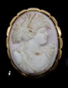 An antique 9 carat yellow gold shell cameo brooch with secure pin and safety chain. The brooch is