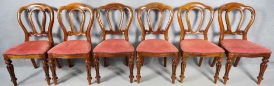 A set of six William IV style mahogany dining chairs with shaped cloud backs on bulbous reeded