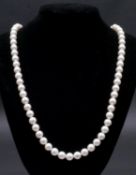 A long 14 carat white gold cultured pearl necklace. The necklace has eighty five round pearls with a