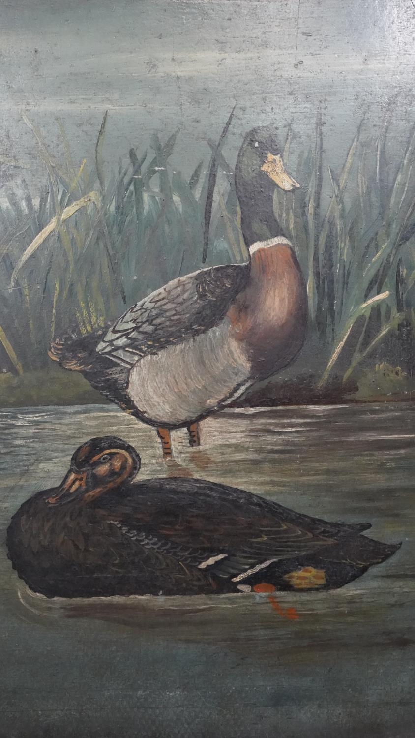 An early 20th century oil on slate of Mallard ducks on a river with reeds. Unsigned. H.54 W.32