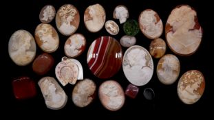 A collection of carved shell cameos and agate plaques. Including sixteen carved shell cameos of side