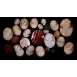 A collection of carved shell cameos and agate plaques. Including sixteen carved shell cameos of side