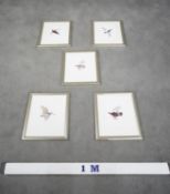 A set of five framed and glazed signed prints of various game birds. Indistinctly signed. H.36 W.32