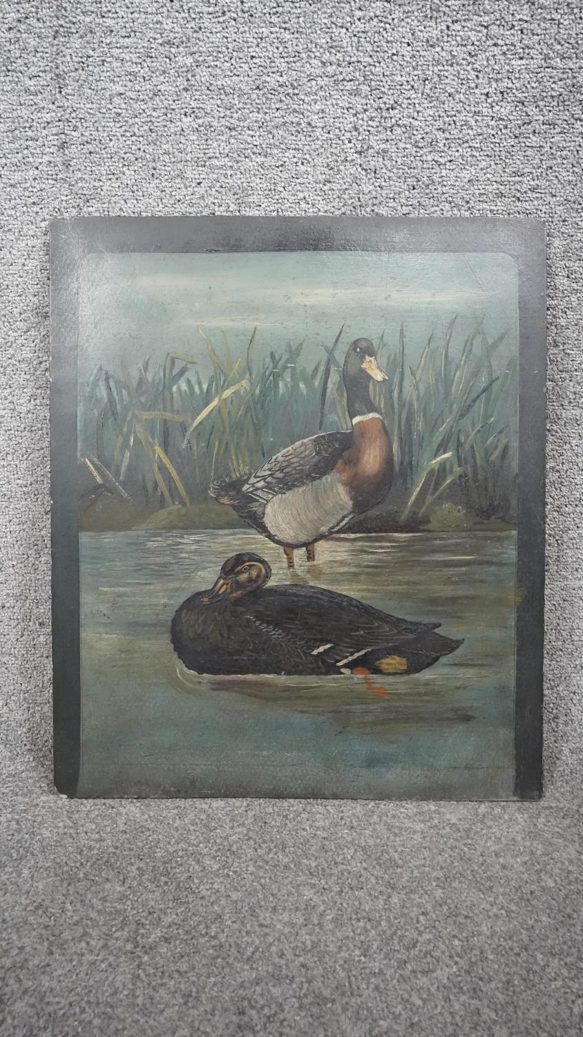 An early 20th century oil on slate of Mallard ducks on a river with reeds. Unsigned. H.54 W.32 - Image 2 of 4