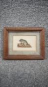 A framed and glazed Victorian embossed paper relief watercolour of a kitten on a coloured mat with