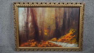 A carved gilt framed oil on canvas of an autumn woodland landscape. Monogrammed to the bottom