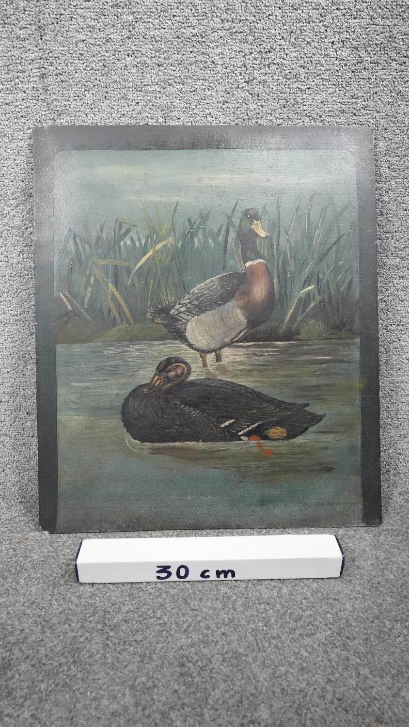 An early 20th century oil on slate of Mallard ducks on a river with reeds. Unsigned. H.54 W.32 - Image 4 of 4