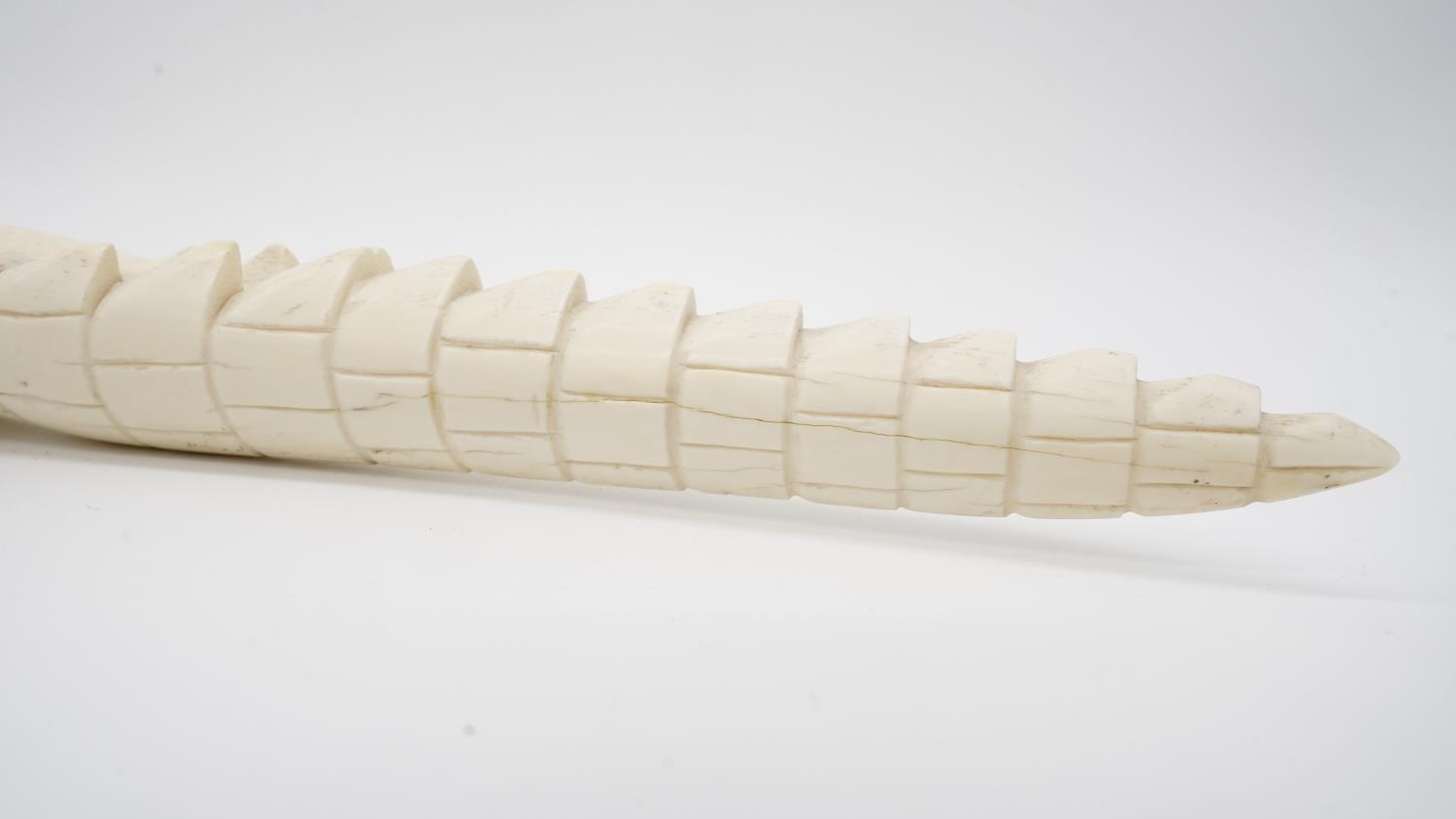 A 19th century carved ivory crocodile. H.5 W.63 - Image 4 of 6