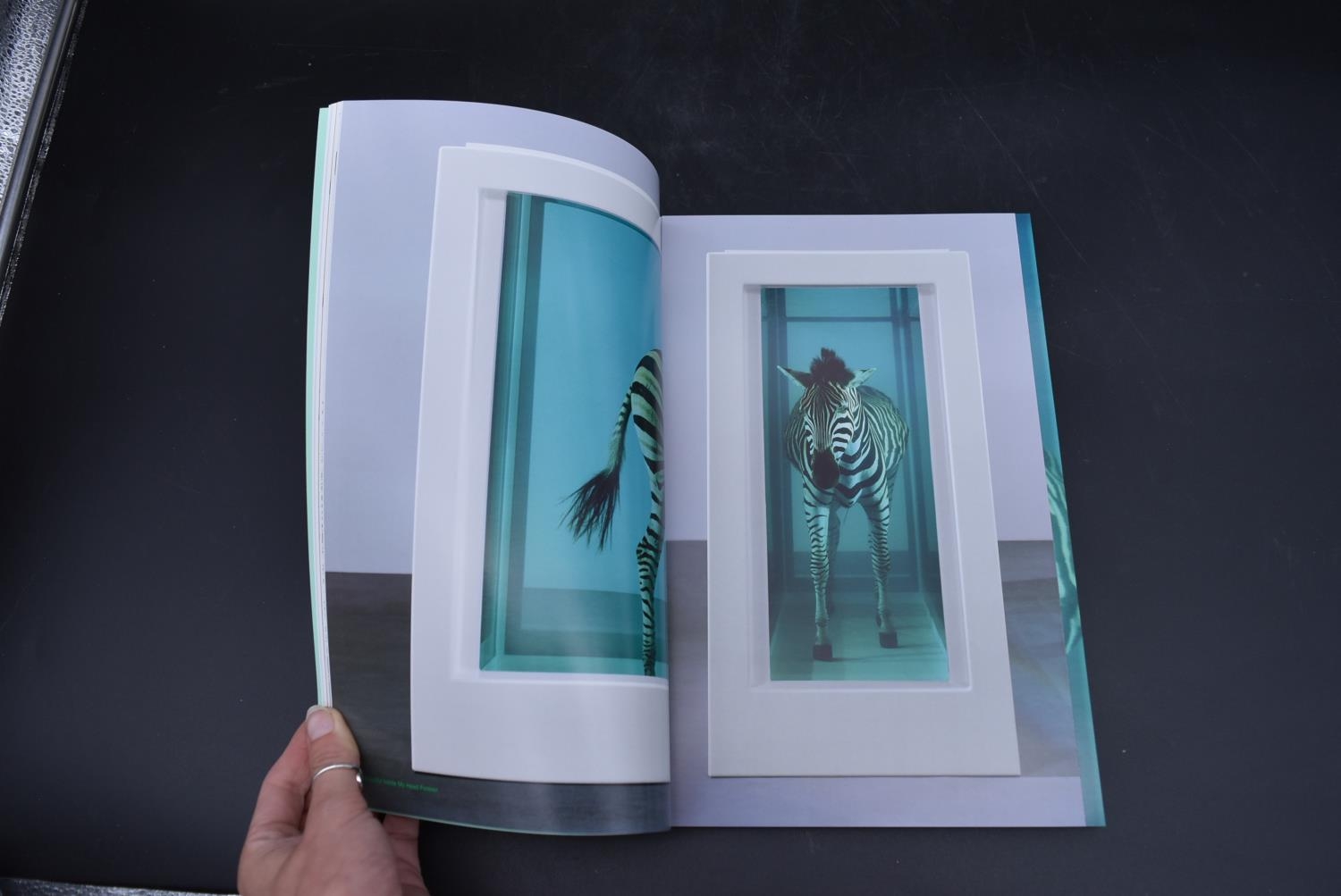 A collection of Antique and Art catalogues. Including a Sotheby's Damien Hirst Beautiful Inside Head - Image 22 of 28