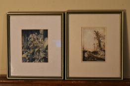 Arthur Rackham- Two framed and glazed early 20th century colour illustration plates from Alice's