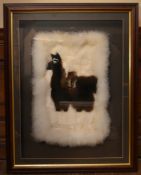 A framed and glazed South American Alpaca fur collage. H.90 W.70cm