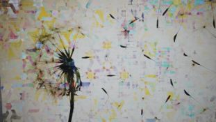 Pavez Taj, a signed canvas print of a dandelion clock, signed by artist. Accompanied by