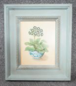 ALEXANDRA CHURCHILL - A framed oil on board still life of an Auricula in a blue and white Chinese
