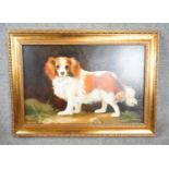 ALEXANDRA CHURCHILL - A framed oil on board of a King Charles Spaniel, signed Churchill. H.57 W.76