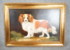 ALEXANDRA CHURCHILL - A framed oil on board of a King Charles Spaniel, signed Churchill. H.57 W.76