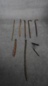 A collection of eight carved wooden walking canes. Including a bamboo shoot, Brussel sprout root
