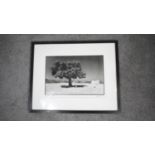 A framed and glazed signed black and white photographic print of a tree. Indistinctly signed and