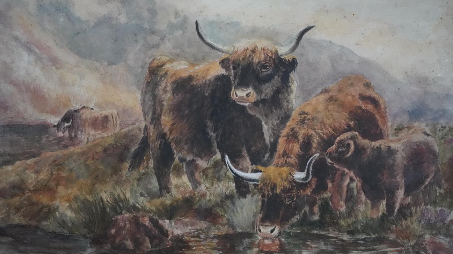 A 19th century framed and glazed watercolour, highland cattle, unsigned. H.40 W.50cm - Image 2 of 6