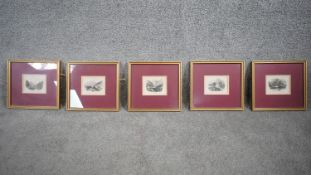 Five framed and glazed antique engravings of Welsh places of interest including Snowdon. H.24 W.36