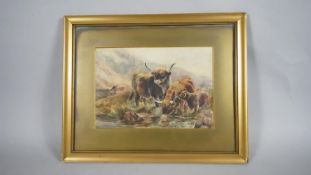 A 19th century framed and glazed watercolour, highland cattle, unsigned. H.40 W.50cm
