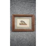 A framed and glazed Victorian embossed paper relief watercolour of a kitten on a coloured mat with