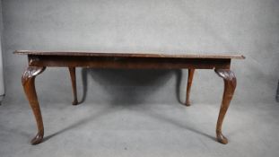 A mid century burr walnut Queen Anne style dining table with extra leaf. H.76 W.233 D.107cm