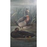 An early 20th century oil on slate of Mallard ducks on a river with reeds. Unsigned. H.54 W.32