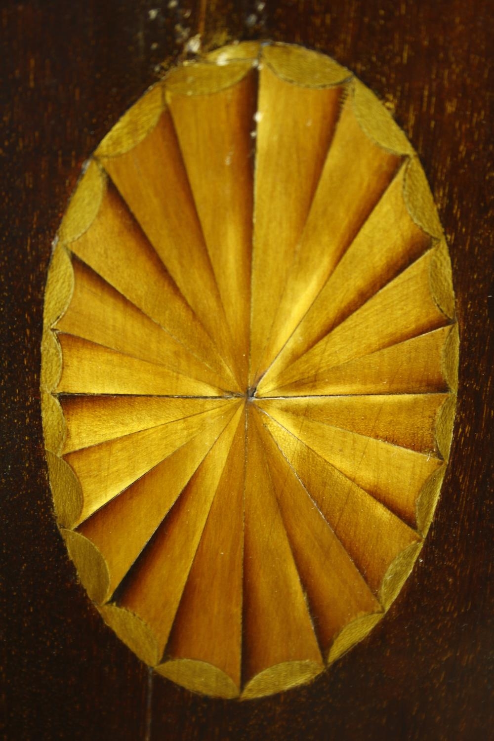A Georgian mahogany bow fronted two section corner cabinet with satinwood stringing and conch - Image 18 of 18