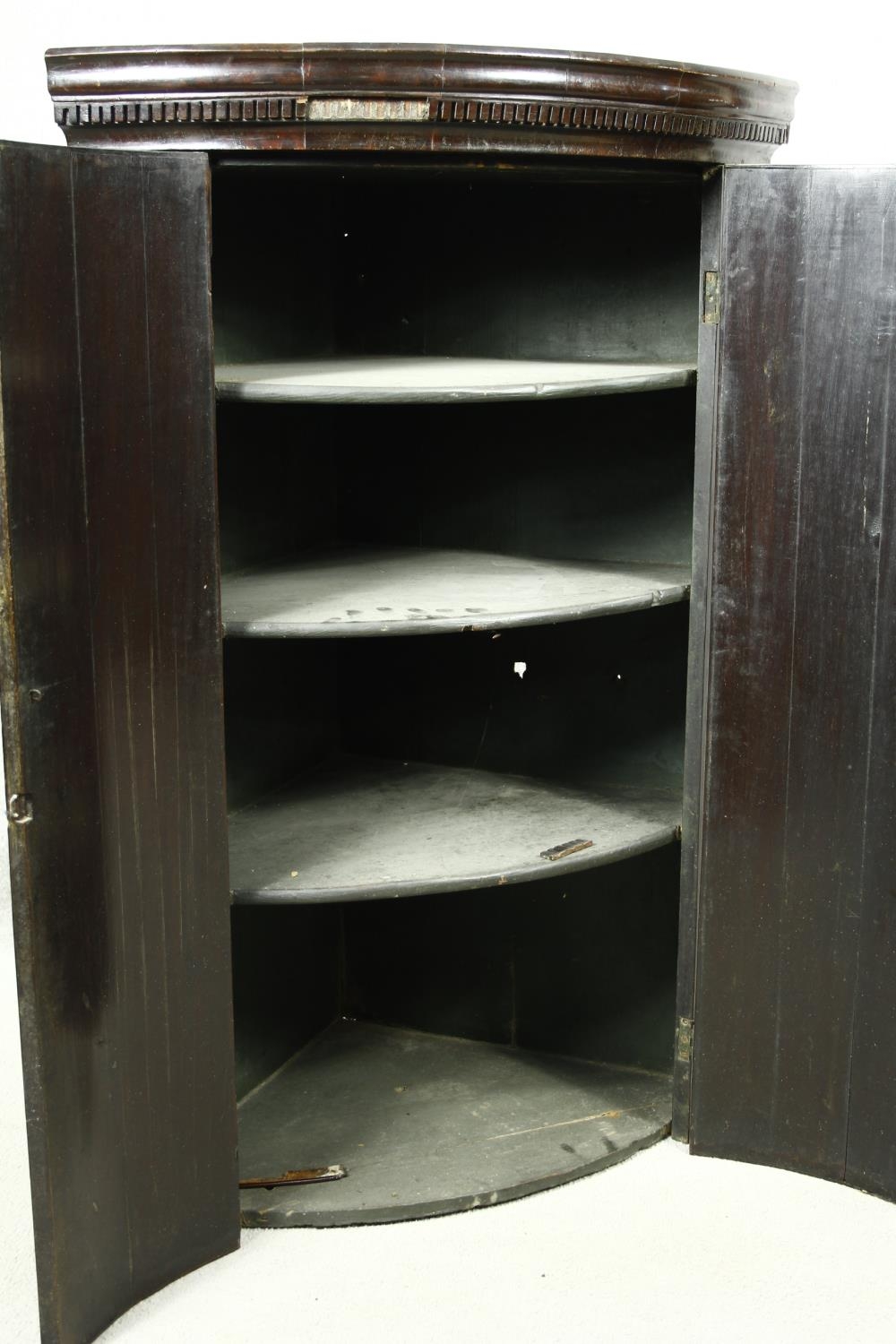 A Georgian mahogany bow fronted two section corner cabinet with satinwood stringing and conch - Image 5 of 18