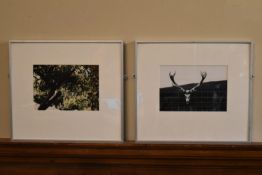 A pair of framed and glazed photographs