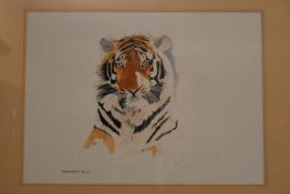 Graeme Sims, framed and glazed watercolour, Tiger portrait. H.66 W.82cm