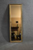 A tall gilt framed mirror with bevelled plate. H.126cm