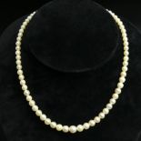 Vintage cultured graduated pearl necklace with a 9 carat white gold clasp. 43 cm long, largest