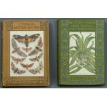 A & C Black Peeps at Nature 'Common British Moths' 1913 and 'British Ferns Clubmosses and