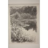 A FRAMED AND GLAZED PENCIL SKETCH OF A LAKESIDE VIEW, BY DAVID QUIRKE, SIZE 18CM X 24CM