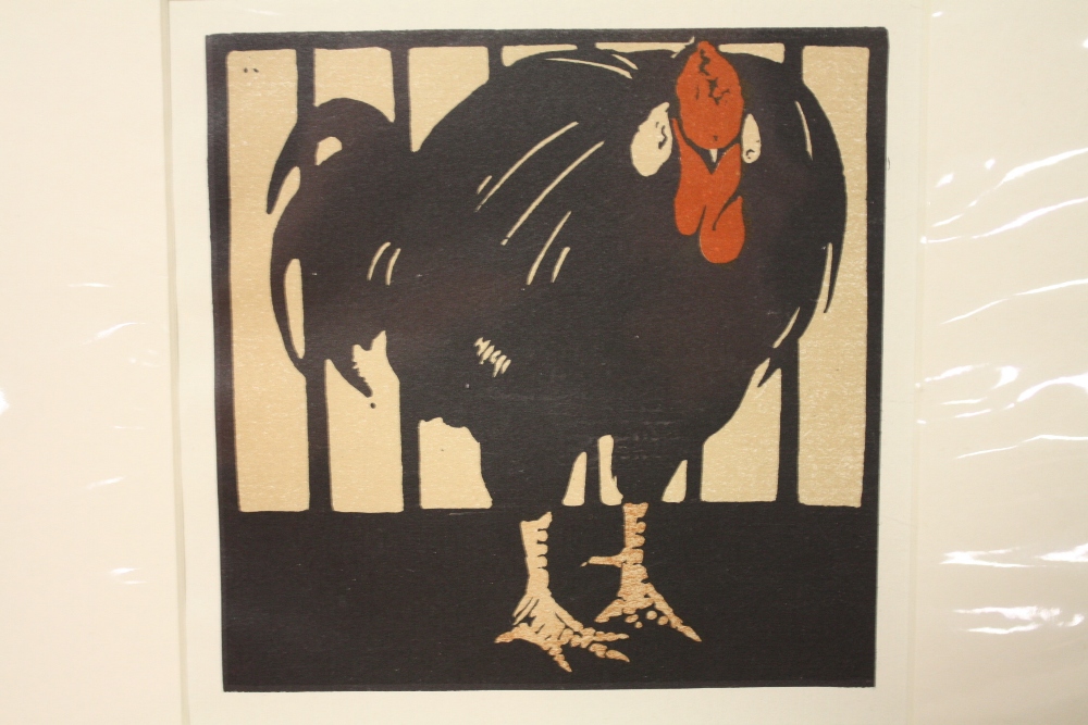 TWO UNFRAMED MOUNTED LITHOGRAPHS DEPICTING SHEEP AND A TURKEY BY WILLIAM NICHOLSON OVERALL SIZE - Image 3 of 4