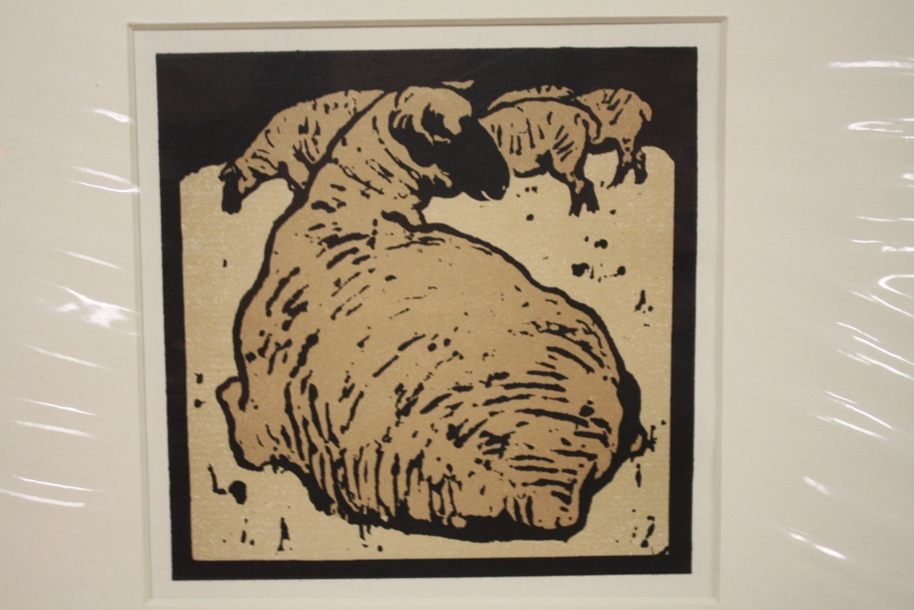 TWO UNFRAMED MOUNTED LITHOGRAPHS DEPICTING SHEEP AND A TURKEY BY WILLIAM NICHOLSON OVERALL SIZE - Image 2 of 4