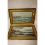 A PAIR OF ANTIQUE GILT FRAMED OIL ON CANVASES DEPICTING SEASCAPES SIGNED M DAVIES SIZE - 44CM X 24CM